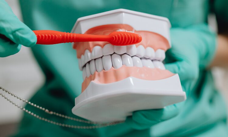 Understanding the causes of bleeding gums can help you take proactive steps to maintain your oral health and prevent more serious problems.
